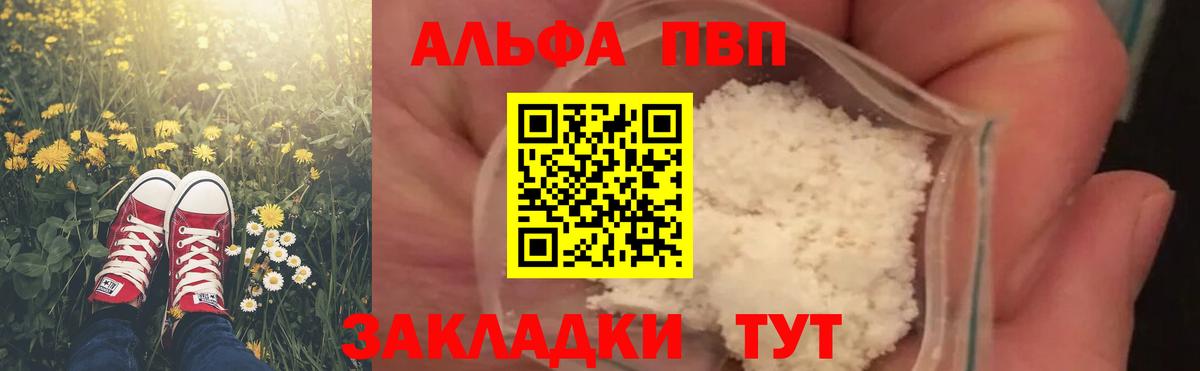 Alfa_PVP СК КРИС Котлас