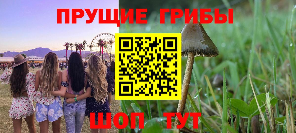 Псилоцибиновые грибы Psilocybine cubensis  Галлюциногенные грибы прущие грибы  Котлас  Вход с VPN 