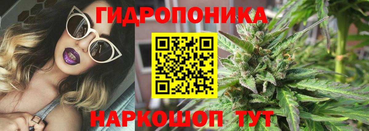 МАРИХУАНА конопля Котлас